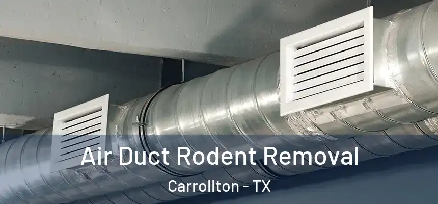  Air Duct Rodent Removal Carrollton - TX