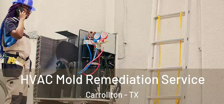  HVAC Mold Remediation Service Carrollton - TX
