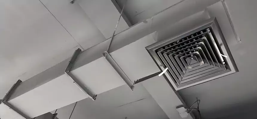 Our Rodent Droppings In Vents Services in Carrollton, TX