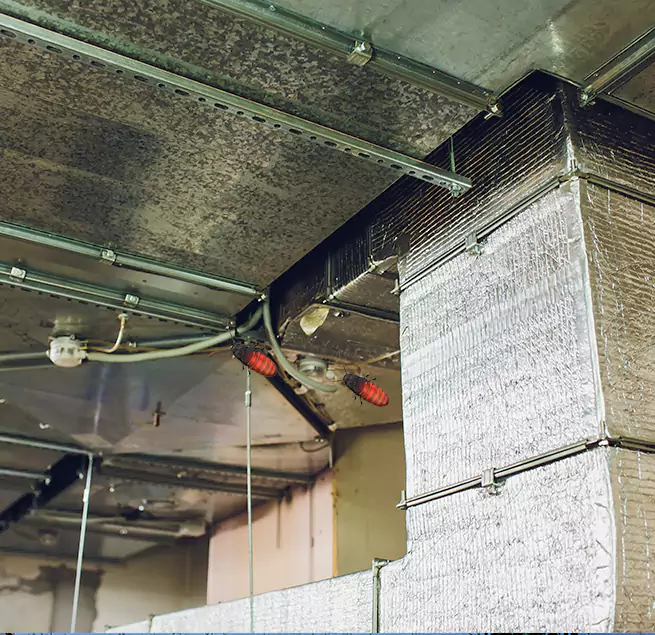 Why Homeowners & Businesses Trust Us in Carrollton, TX?