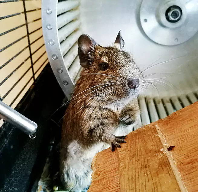 Why Homeowners & Businesses Trust Us Carrollton, TX?