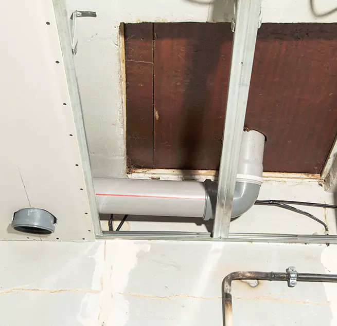 Why Homeowners & Businesses Trust Us in Carrollton, TX?