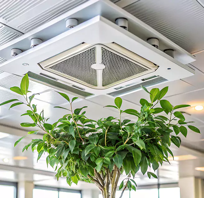 Why Homeowners & Businesses Trust Us in Carrollton, TX