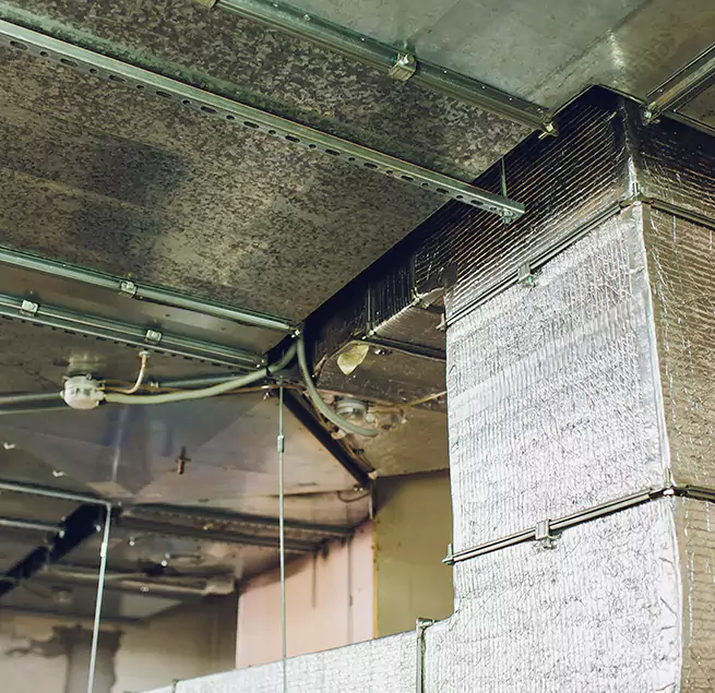 Why Homeowners & Businesses Trust Us in Carrollton, TX?