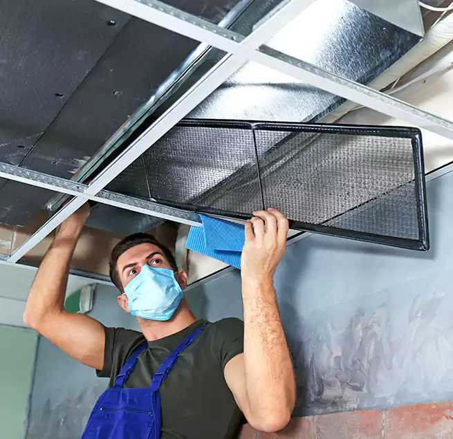 Why Homeowners Businesses Trust Us in Carrollton, TX