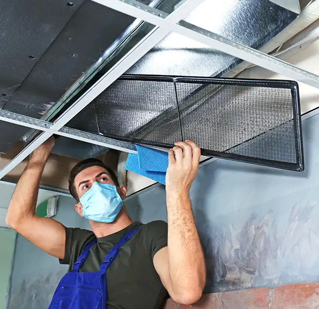 Why Homeowners & Businesses Trust Us in Carrollton, TX?